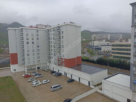 Ordu Üniversitesi Diş Fakültesi Yanı 1+1 North Loft Konutları