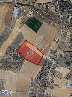 Çubuk'ta Acil Satılık Tarla