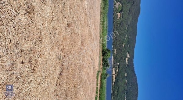 Cb Park Ömer Ocak'dan Kolayda Satılık Tarla