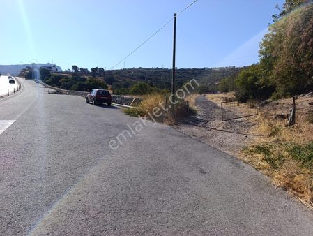 Eski Foçaya 2km Uzaklıkta Satılık Çiftlik Arazisi