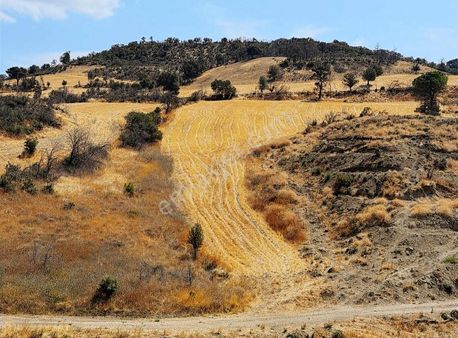 Çanakkale Kemel Köyünde Denize Manzara'lı Satılık Tarla