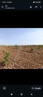 Akyol Gayrimenkul Den Satlık Karkamışda Fıstık Tarlası Kadastro Yoluna Sıfır 58 Dönüm