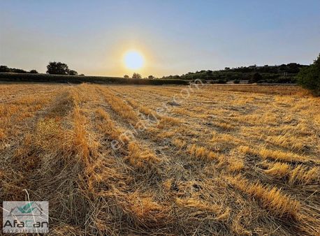 Gökköy'de Osb'ye Yakın Yatırımlık Mükemmel Bahçe Gibi Tarla !!!