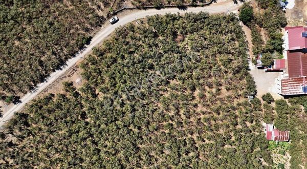 Deniz Manzaralı 364 M2 Villa Projeli İmarlı Araç Takasına Uygun