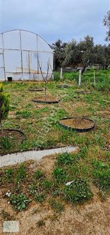 İzmir Torbalı Yazıbaşı'na 2dk Mesafede Hisse Tapulu 355m2 Bahçe