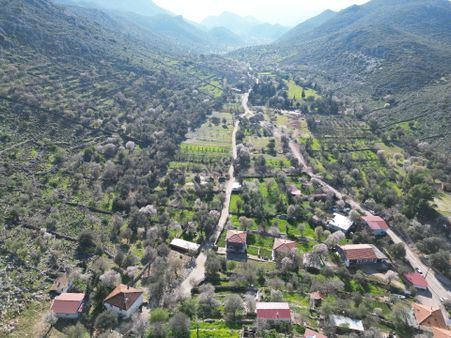Joker: Marmaris Taşlıca Evlere Komşu Doğal Hayata Uygun Satılık Tarla