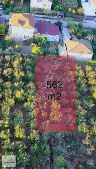 Bu Kent Emlaktan Küçük Söğütlüde 562 M2 İmarlı Arsa