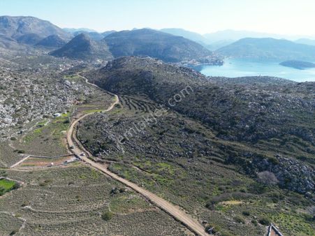 Joker: Bozburun Deniz Gören Konum Yol Cepheli Yatırıma Uygun Tarla