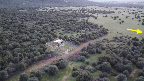 Didim Balova'da Yatırım Fırsatı: Satılık İmarlı Arsa!