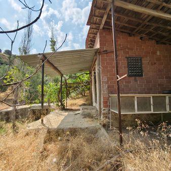 Donduran Otoban Yanında Yüzde 80 Alanı Düz Zeytinlik