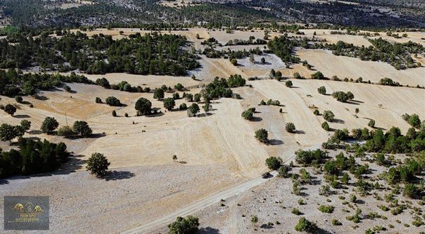Kadastro Yoluna Cephe, Köye 700 Metre, 3,020 M2 Fırsat Tarla.