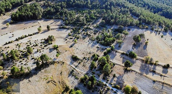 Manzaralı, Araç İle Ulaşım İmkanı. 3,517 M2 Tamamı 100.000tl