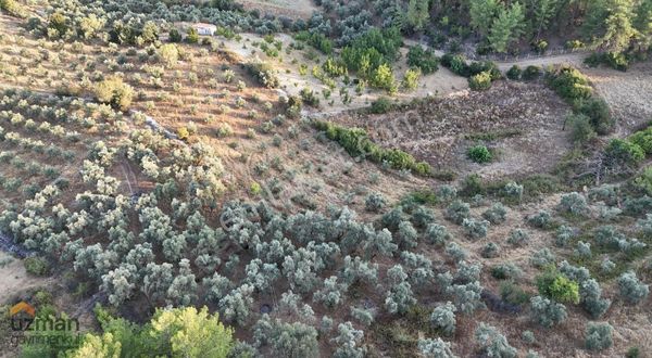 Uzman Gayrimenkul'den Yerkesik'de Satılık 2494 M2 Arazi