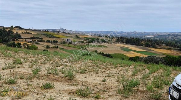 Yuvam Arsa Ofisin'den Sakarya Kaynarca'da Muhteşem 4.650 M2 Arsa