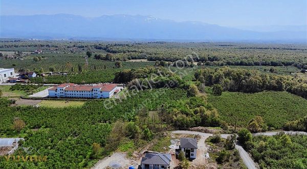 Yuvam Sapanca'dan Hendek Akova Mah 510m²