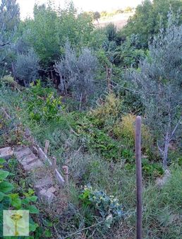 Şehrin Hemen Bitişiğinde Kelepir Bahçe!!!