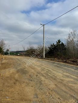 Yuvam'dan Sapanca Şükriye Mahallesinde Satılık Fındıklık