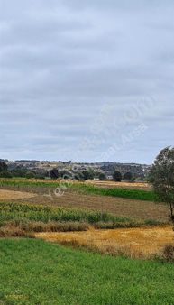 Yuvam'dan Kaynarca Şeyhtimarında Satılık Tarla