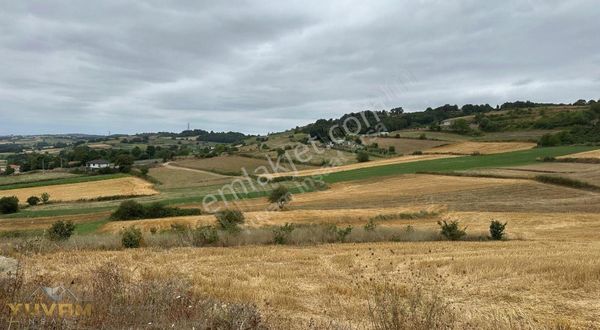 Yuvam'dan Kaynarca Şeyhtimarında Satılık Tarla