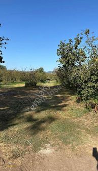 Yuvam Arsa Ofisi Sakarya Hendek Muhteşem 3600m2 Tek Tapu Arsa