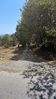 Yuvam Arsa Ofisinden Adapazarında Harika Konumda Tek Tapu 2555mt