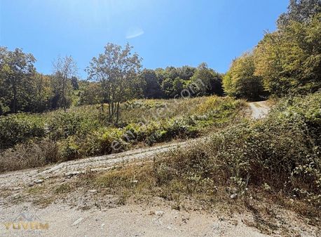 Yuvam Arsa Ofisinden Sakarya Sapancada 3830mt Full Göl Manzaralı