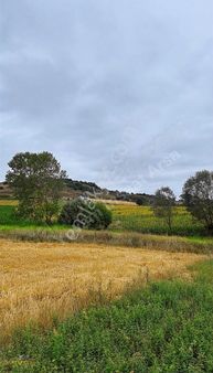 Yuvam Arsa Ofisi Sakarya Kaynarca Muhteşem Tek Tapu 3200 M2 Arsa