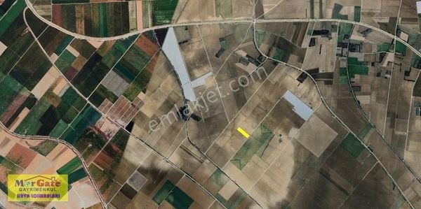 Morgate Gayrimenkul'den Çumra Alibeyhüyüğü 6.884m2 Satılık Tarla