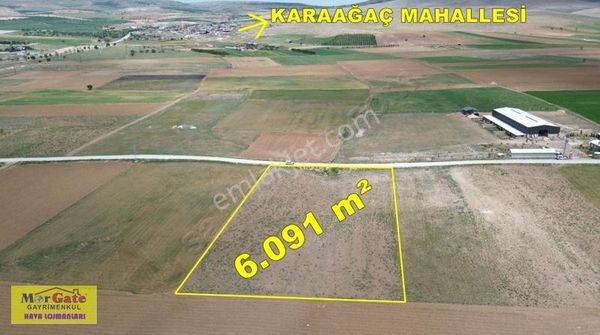 Morgate Gayrimenkul'den Meram Hatunsaray'da 6091m2 Satılık Tarla