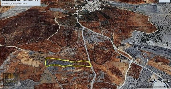 Özkesen Gayrimenkul'den Asfalt Üstü Satılık Fıstık Tarlası