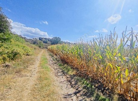 Alemdar Gayrimenkul Hendek A. Çalıca Mah.acil Satlık Yollu Tarla