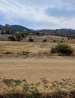 Kızılörende Çiftliklerin Yanında Satılık Tarla