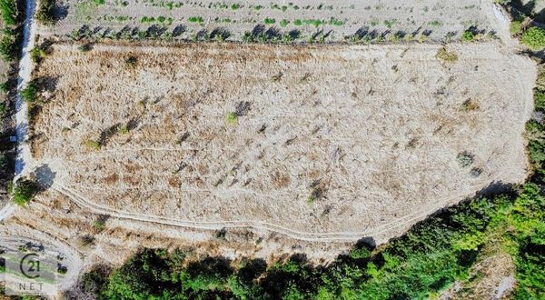 Century 21 Net'ten Honaz Kızılyer'de 7300 M2 Kiraz Bahçesi