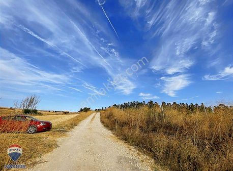 Remax Lavanda'dan Lüleburgaz'da Satılık Tarla