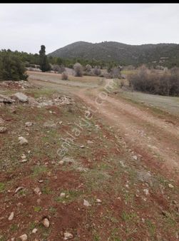 Çameli İmamlar Yaylasında Satılık Yer