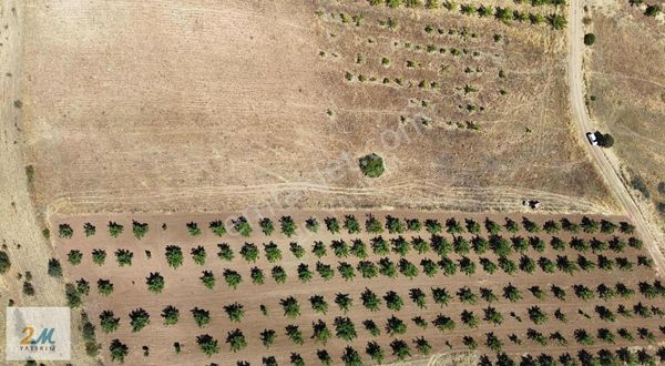 2m Yatırım'dan Yenişehir Yıldırım Köyünde Satılık Arazi