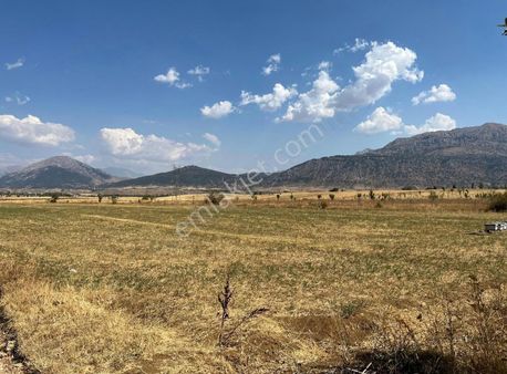 Tok Emlaktan Elbistan Yolunda Tarla