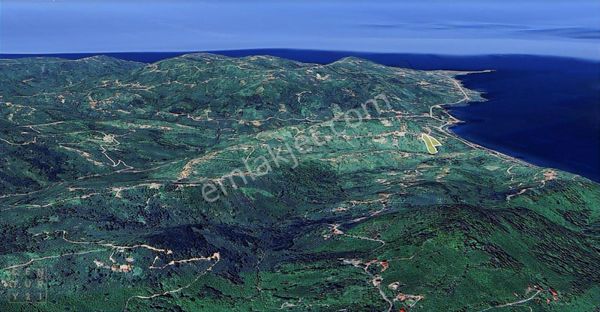 Century 21'den Ordu Perşembe'de 17.000 M² Bungalov Uygun Arsa