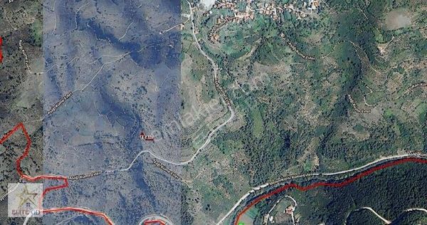 Elite Gd & Düzce Yığılca Hacılarda Kadastro Yolu Olan Bahçe