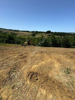 Kocaeli Ambarcıda 5.721 M2 Mustakil Tapulu Tarla