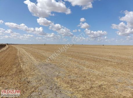 Tekirdağ Kapaklı Yanıkağıl Köyünde Tek Tapu 28.000 M2