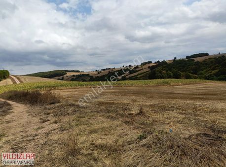 Kocaeli Derince Tahtalı Köyü 6248 M2 Tek Tapu