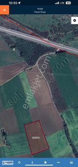 Dikili'de Satılık Tarla