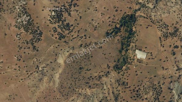 Satılık 4.400 M² Tarla Burdur / Çavdır / Anbarcık Köyü -acil-