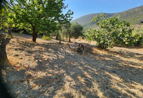 İzmir Selçuk Sultaniye Köyünde Köy Merkezine Yakın Satılık Arazi