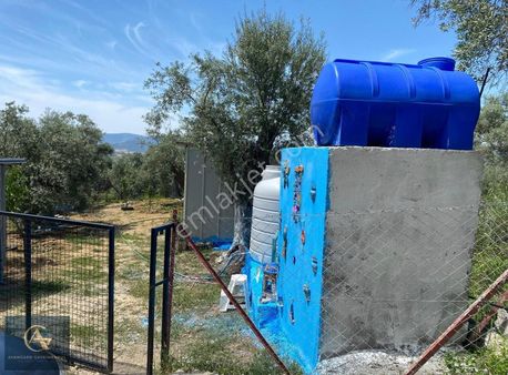 Avangard Gayrimenkul'den Kırcağız'da Meyve Sebze Bahçesi