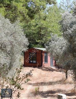 Avangard Gayrimenkul'den 3193m2 Alan İçinde Müstakil Ev