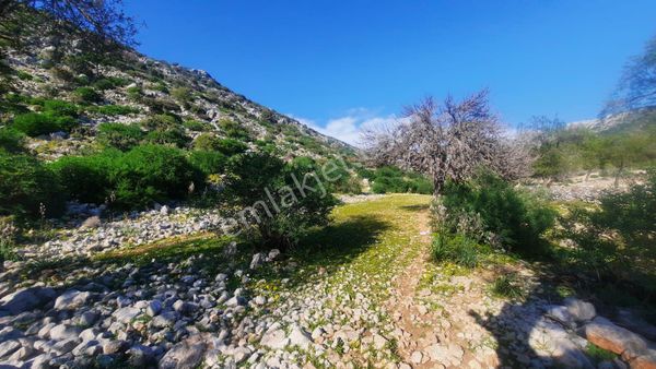 Joker: Marmaris Taşlıca Yol Cephe Kare Şeklinde Satılık Tarla