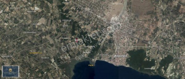 Muğla Köyceğiz Toparlar Mahallesi'nde 12.000 M² Satılık Tarla