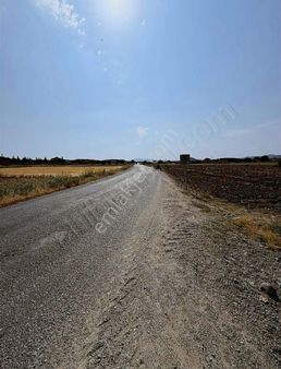 İzmir Bergama Eğrigöl Mahallesinde 963 M² Satılık Verimli Arazi